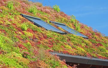 Foston On The Wolds living roof systems